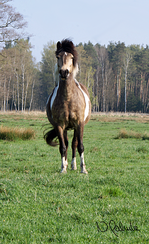 Startseite Startseite